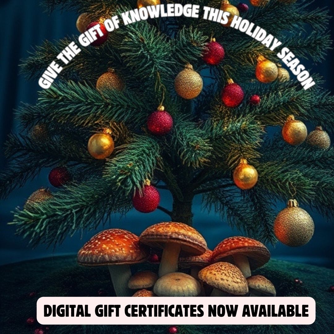 Foraging Gift Certificate