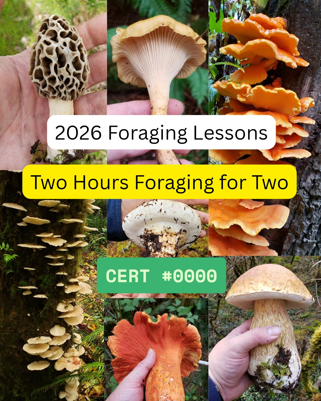 Foraging Gift Certificate