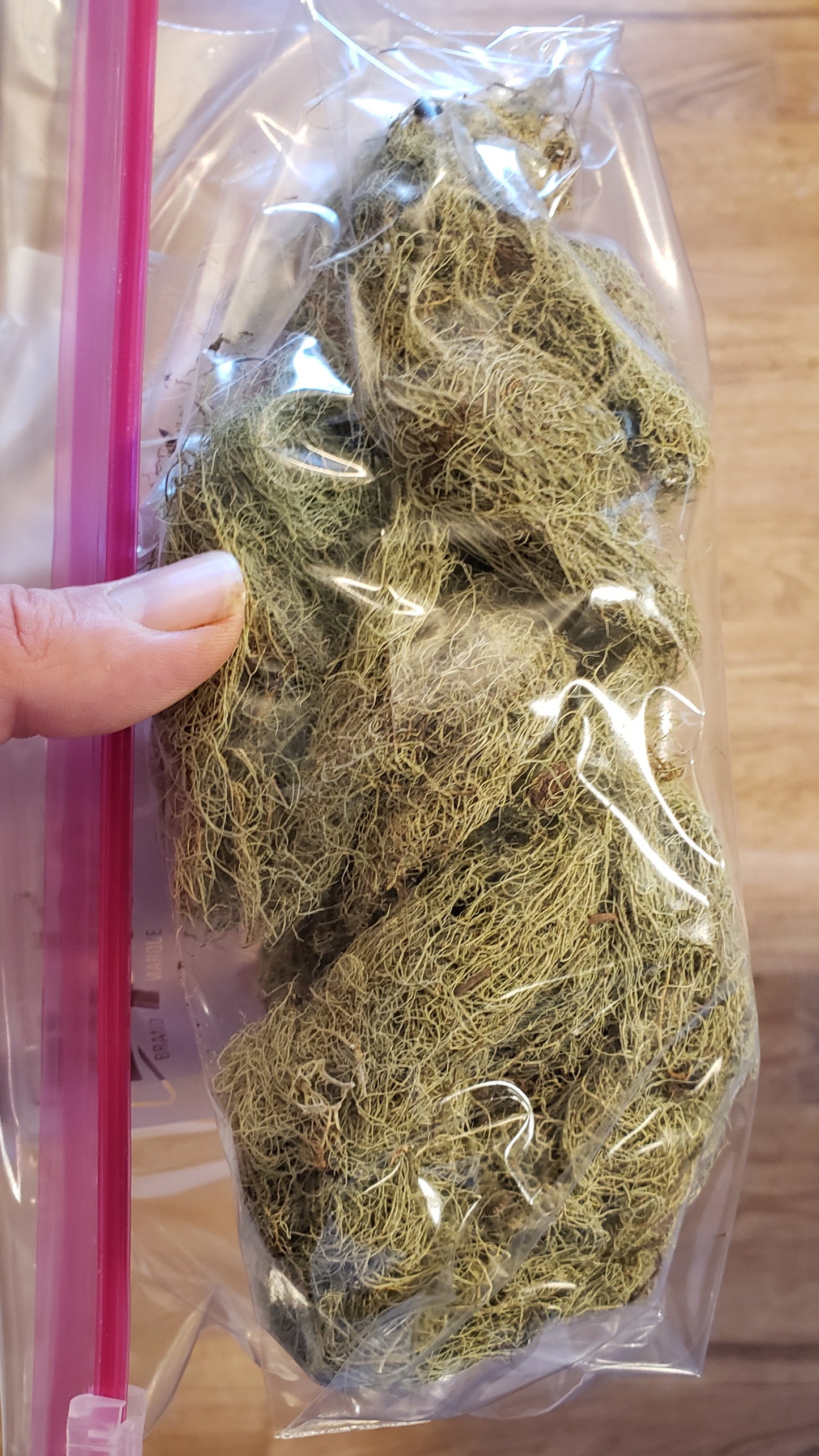 Dried Old Man's Beard (Usnea lichen) - 1oz
