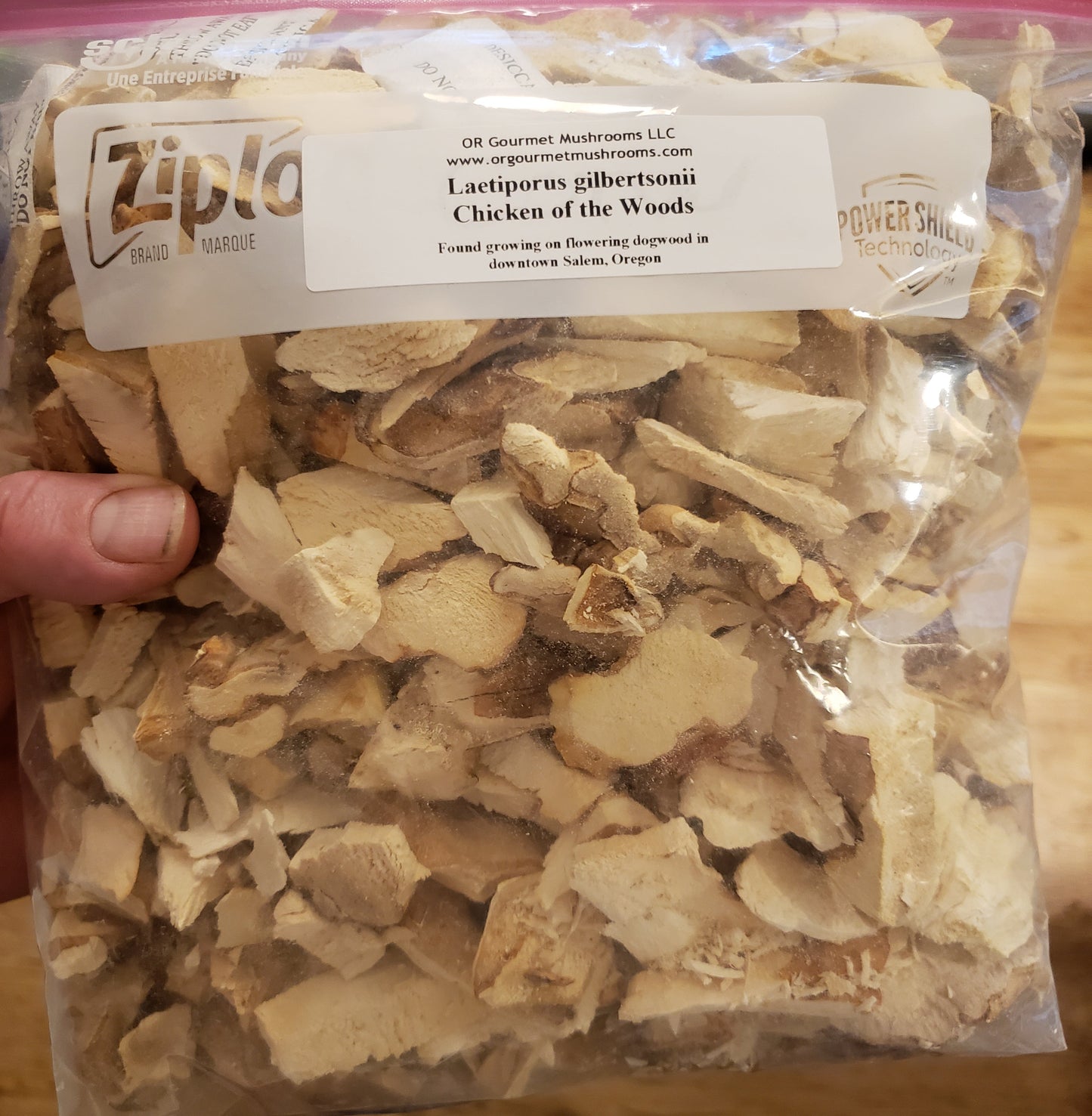 Dried Chicken of the Woods - Laetiporus gilbertsonii - 4oz