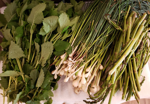 Wild Willamette River Dried Onions - Bulbs & Stems