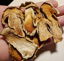 Load image into Gallery viewer, Dried Porcini Mushrooms (Boletus edulis) - King Bolete, cep, or Penny Bun mushroom