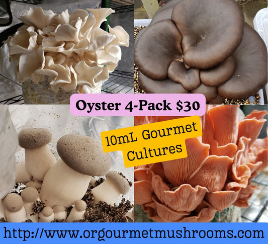 10mL Oyster 4-Pack