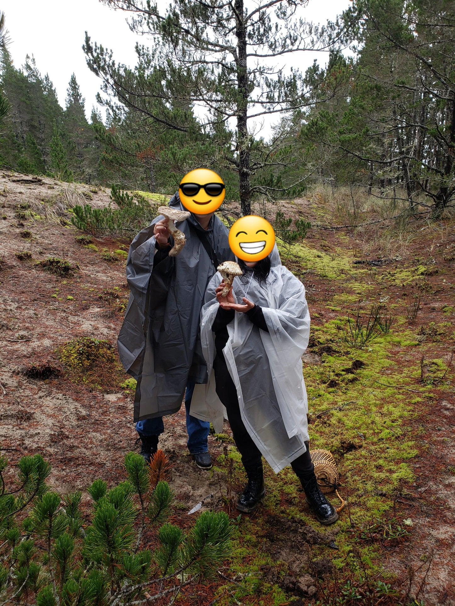 Foraging Gift Certificate