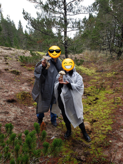 Foraging Gift Certificate