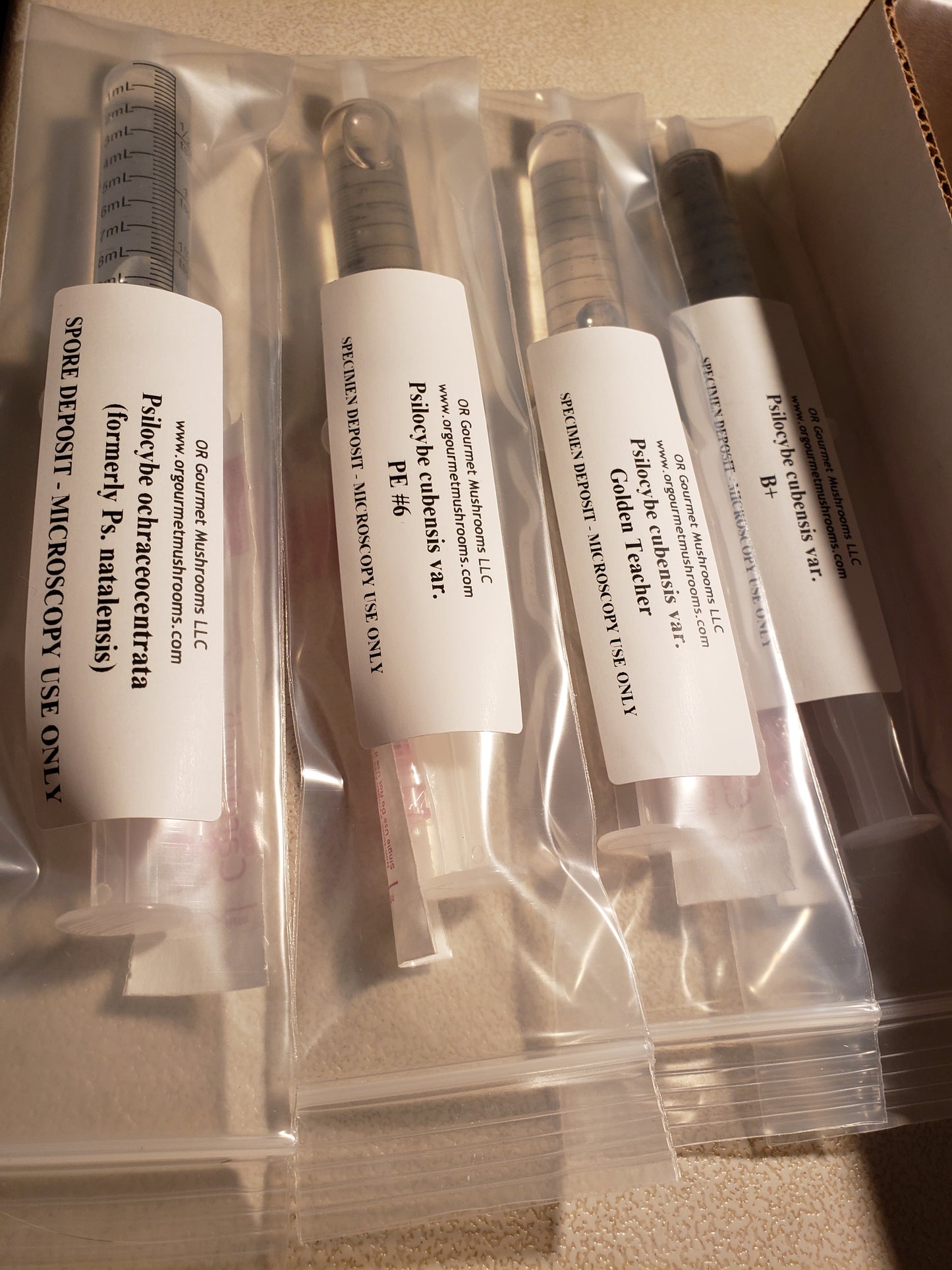 10mL Beginner Box