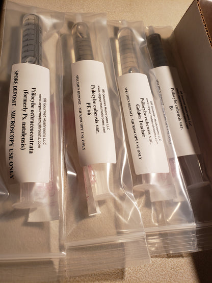 10mL Beginner Box
