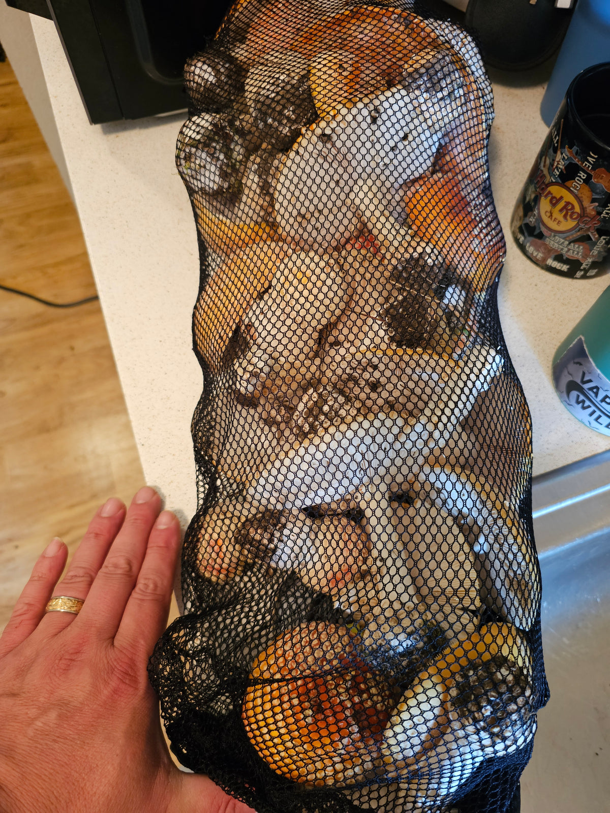 1oz Dried Fly Agaric (Yellow-Orange Cottonwood)