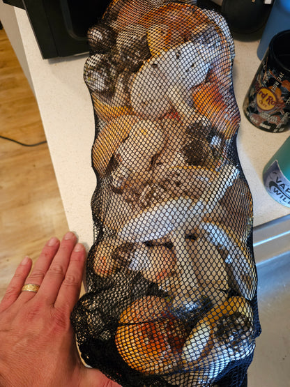 1oz Dried Fly Agaric (Yellow-Orange Cottonwood)
