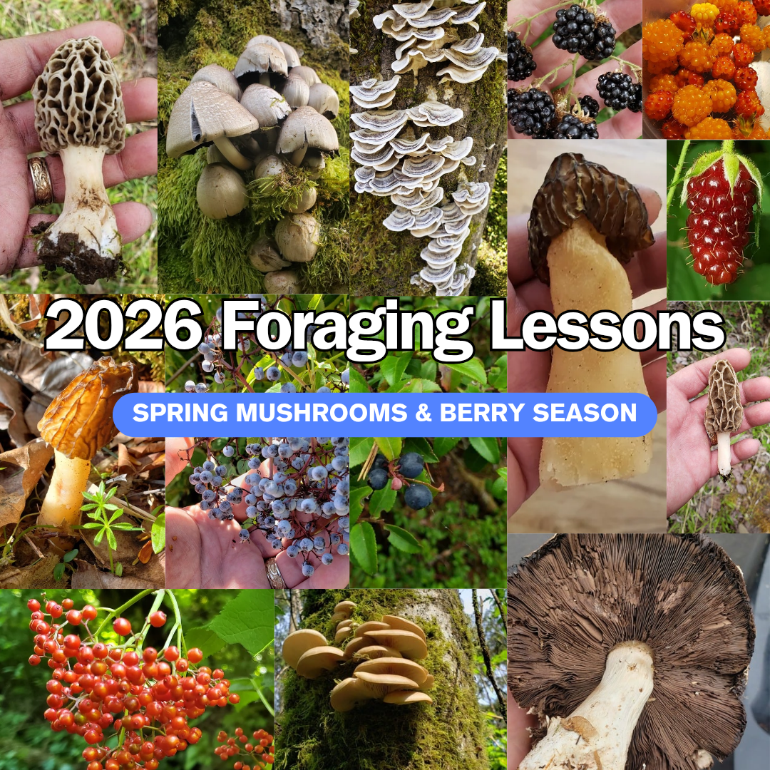 Foraging Gift Certificate