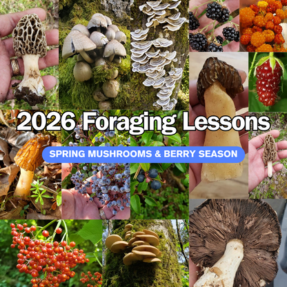 Foraging Gift Certificate